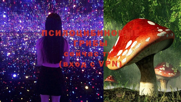 мдпв Володарск