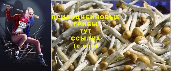 таблы Вязники
